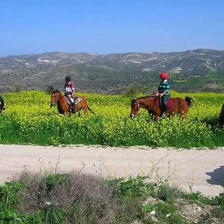 Vasilikos House アパートホテル