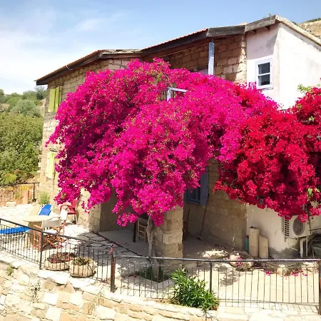 Vasilikos House アパートホテル