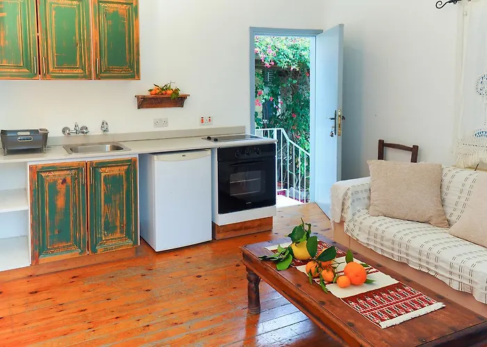 Apartahotel Vasilikos House Tochni