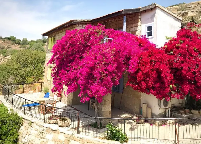 Vasilikos House Apartahotel